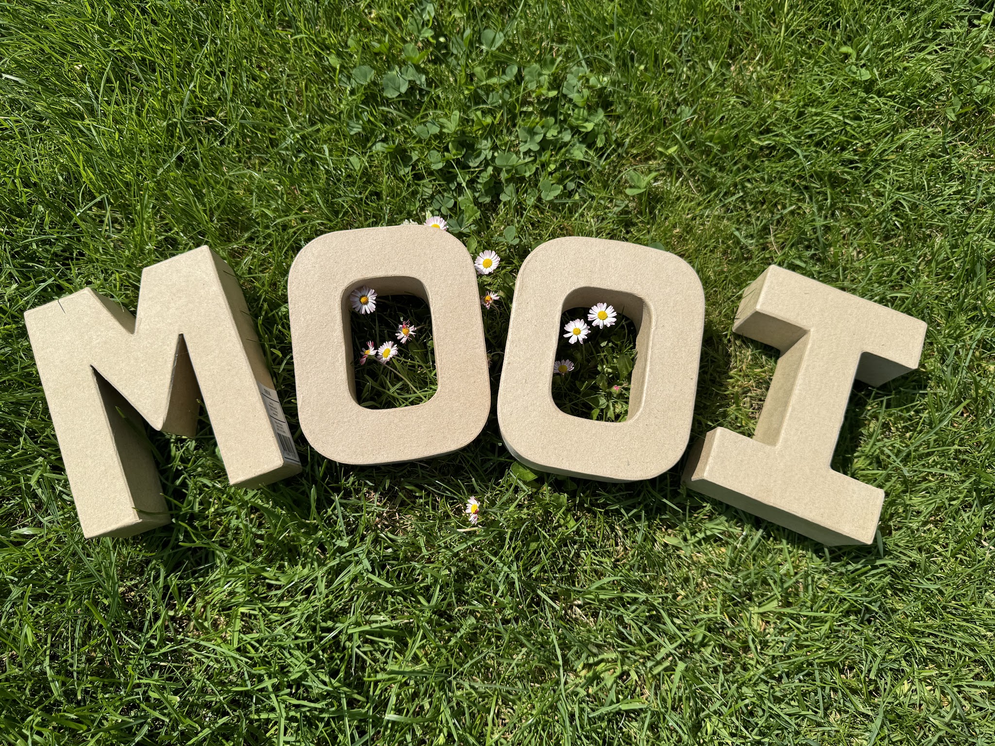 Kartonnen letters MOOI in het gras tussen de madeliefjes